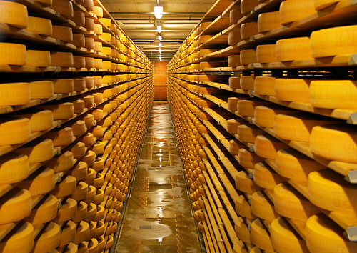 увоз сира из европске уније