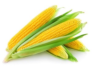 цена кукуруза