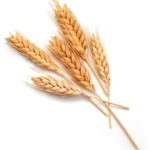 Цена пшенице на берзи
