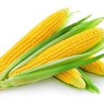 cena kukuruza na berzi